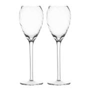 ByOn - Opacity champagneglass 16 cl 2 stk klar