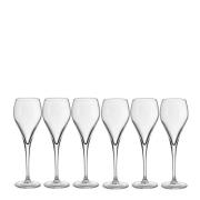 Stiernholm - Bubbles champagneglass 16 cl 6 stk klar