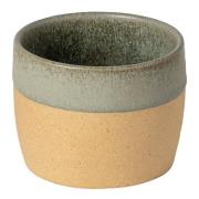 Costa Nova - Arenito krus 20 cl sage green