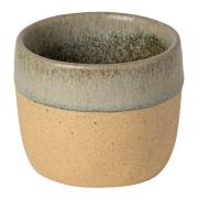 Costa Nova - Arenito espressokopp 7 cl sage green