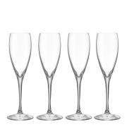 Orrefors - More champagneglass 18 cl 4 stk