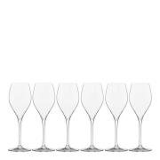 Modern House - Sontell champagneglass universal 29 cl 6 stk klar