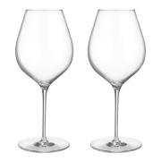 Orrefors - Orrefors x Björn Frantzén vinglass 60 cl 2 stk