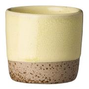 Aida - RAW Colour minikopp 5 cl Yellowish