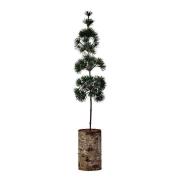 House Doctor - Pine juletre 14 cm grønn