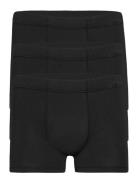 Cotton+ Trunk 3-P Boksershorts Black Jockey