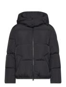 Short Down Jacket Fôret Jakke Black GANT