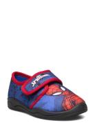 Spiderman House Shoe Tøfler Innesko Blue Spider-man