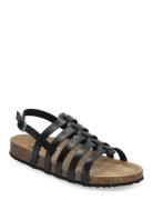 D Brionia F Flate Sandaler Black GEOX