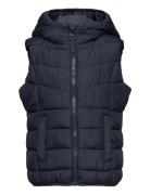 Light Weight Puffer Vest Fôret Vest Navy Tom Tailor