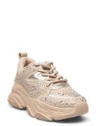 Jprivy Sneaker Lave Sneakers Beige Steve Madden