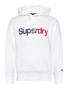 Core Logo Loose Hood Tops Sweat-shirts & Hoodies Hoodies White Superdr...