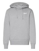 Sthlm Hoodie Tops Sweat-shirts & Hoodies Hoodies Grey Björn Borg