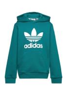 Trefoil Hoodie Tops Sweat-shirts & Hoodies Hoodies Green Adidas Origin...