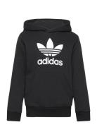 Trefoil Hoodie Tops Sweat-shirts & Hoodies Hoodies Black Adidas Origin...