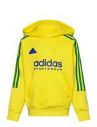 J Np Hoodie Tops Sweat-shirts & Hoodies Hoodies Yellow Adidas Sportswe...