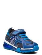 J Bayonyc Boy A Lave Sneakers Blue GEOX