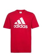 M Bl Sj T Sport T-shirts Short-sleeved Red Adidas Sportswear