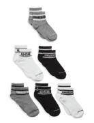 6W-6Pk Crew Sock Sokker Strømper Black Converse