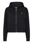 Oakport Zip Hoodie Tops Sweat-shirts & Hoodies Hoodies Black Dickies