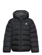 J Sd Jkt Sport Jackets & Coats Puffer & Padded Black Adidas Sportswear