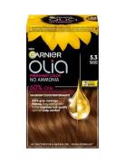 Garnier Olia 5.3 Golden Brown Beauty Women Hair Care Color Treatments ...