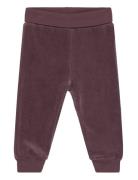 Pants Velour Bottoms Sweatpants Burgundy Fixoni