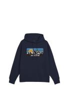 Jjpeak Sweat Hood Ln Tops Sweat-shirts & Hoodies Hoodies Navy Jack & J...