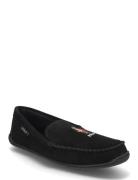 Brenan Polo Bear Suede Slipper Mokasiner Lave Sko Black Polo Ralph Lau...