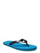 Catalina Flip Flop Flip-flopper Sandaler Blue OAKLEY