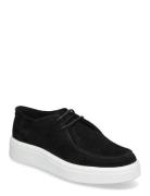 Fayles Sneaker Lave Sneakers Black Steve Madden