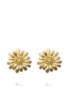 Daisy Earrings Gold Øredobber Smykker Gold Caroline Svedbom